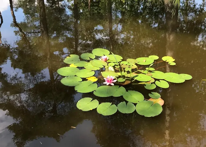 Europarcs L-cube 4 Hv36