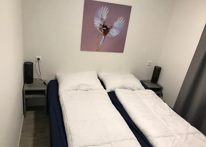 Holiday home Europarcs L-cube 4 Hv36