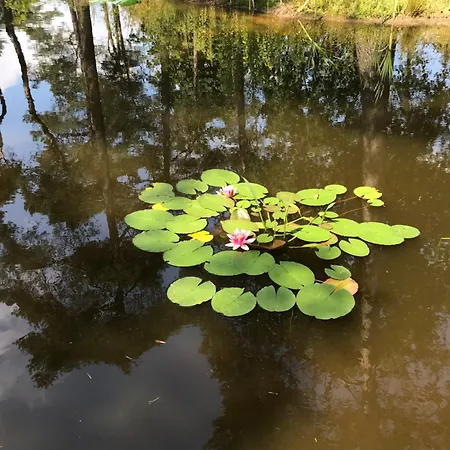 Europarcs L-cube 4 Hv36