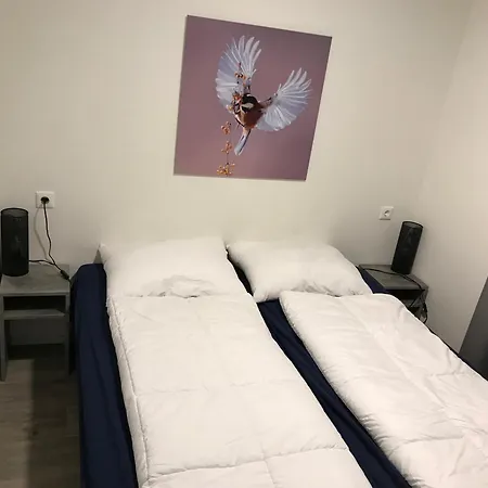 Tatil Evi Europarcs L-cube 4 Hv36